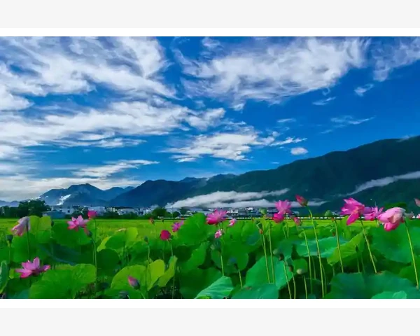 治疗胃疼的穴位和手法